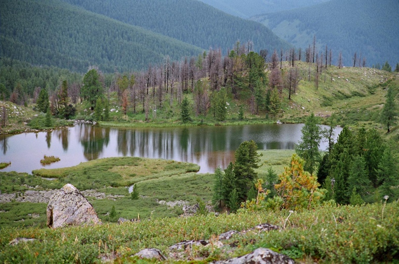 Наталия Борисенко | Москва