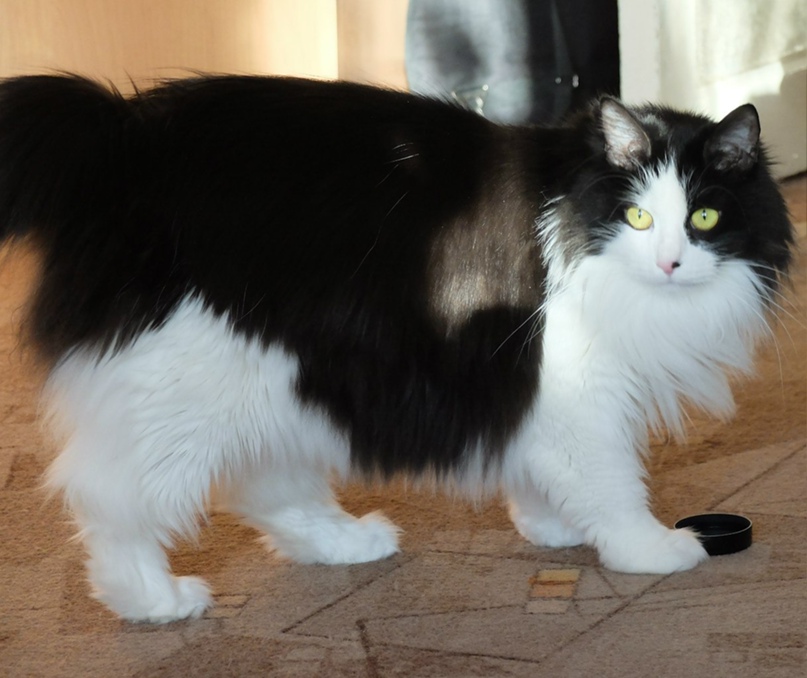 Наталья Жук | Петрозаводск