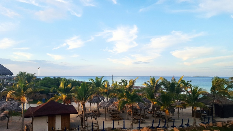 Полина Баженова | Москва