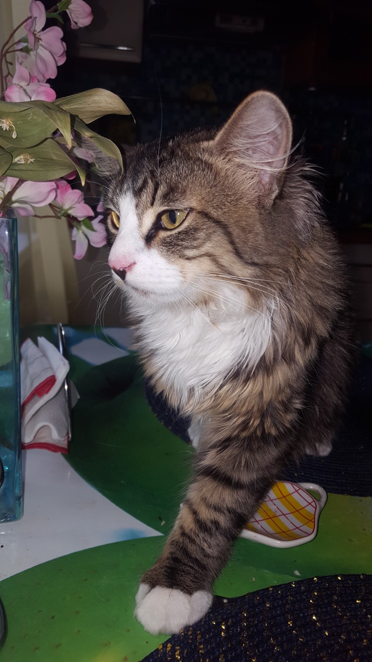 Лена Чаусова | Санкт-Петербург