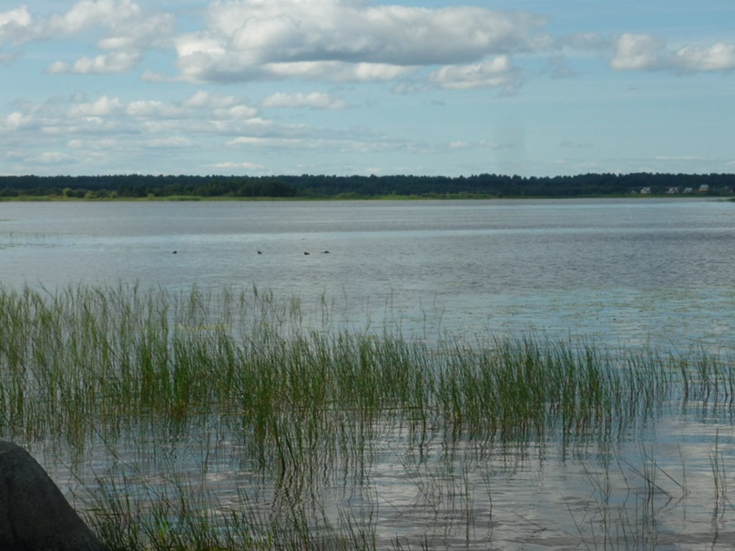 Евгения Рожнова | Красноярск