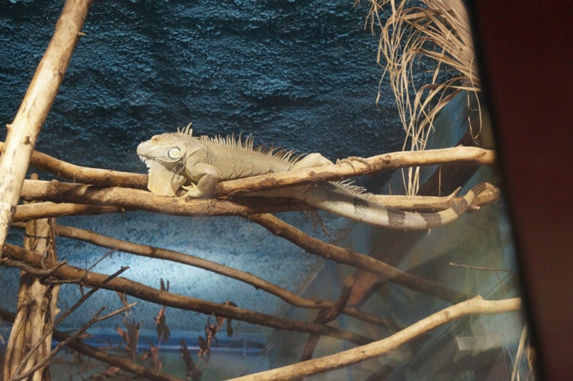 Елена Маврина | Пенза