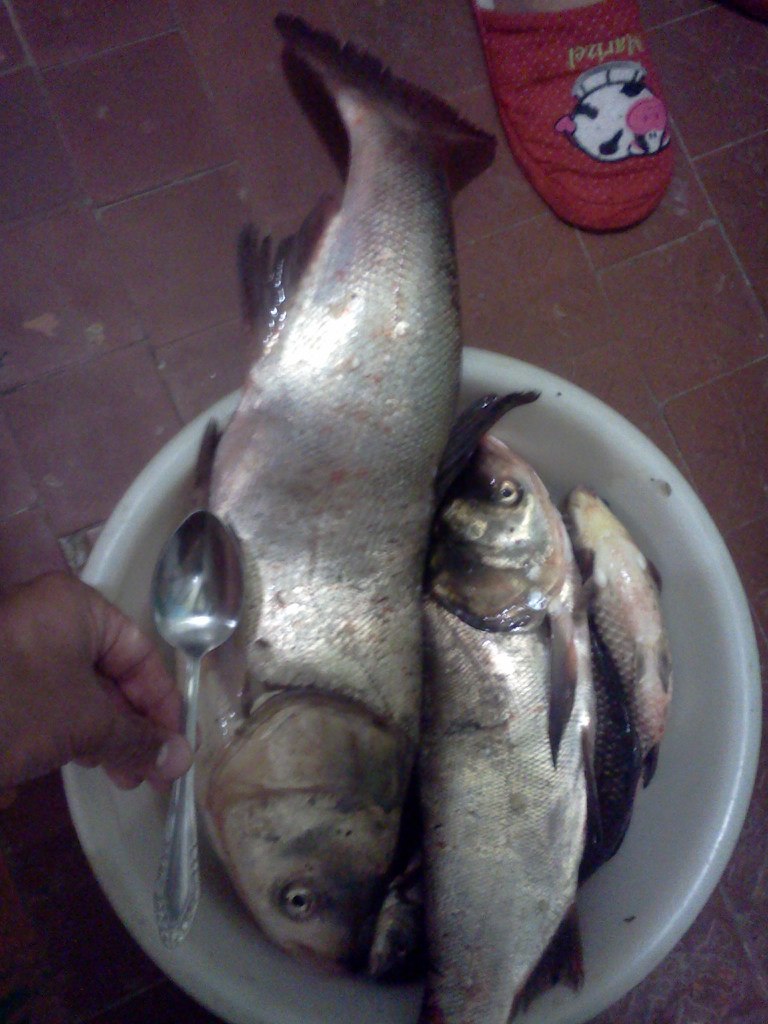 Андрей Гриценко Александрович | Днепр (Днепропетровск)