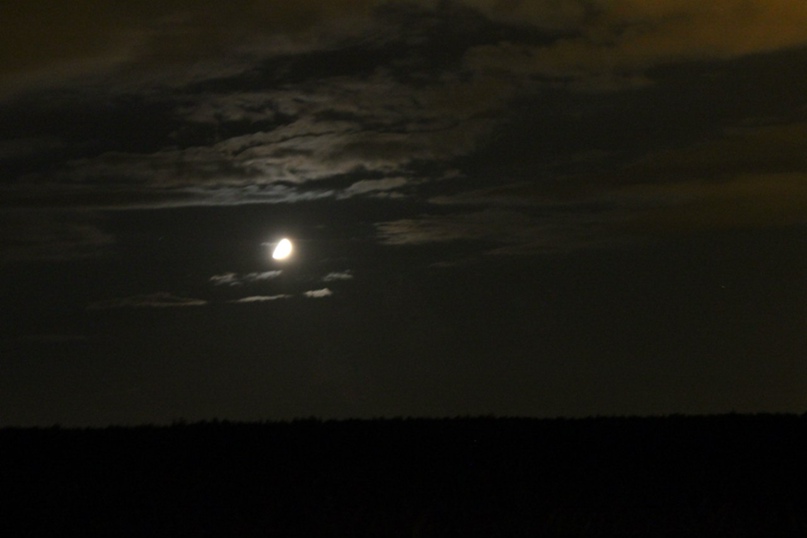 Мария Ворошилова | Москва