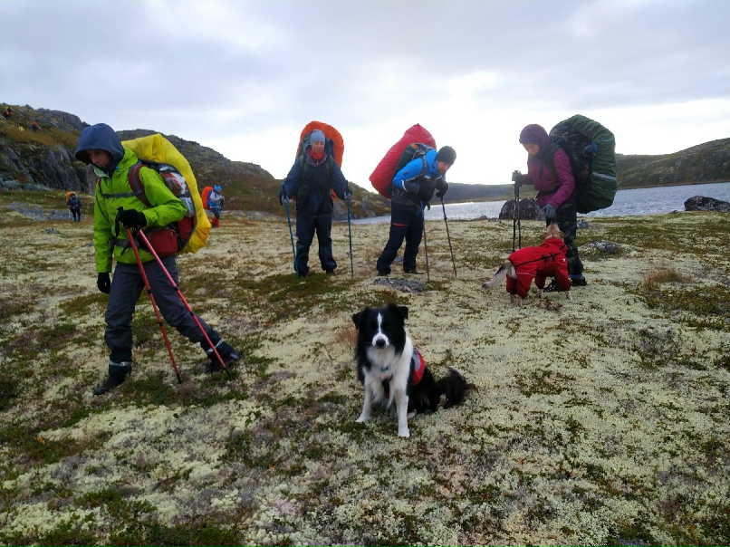 Елена Шишкина | Ярославль