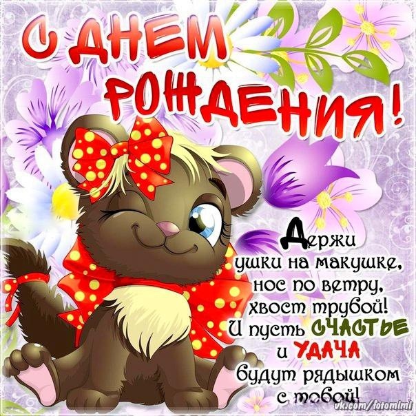 Антон Тихомиров | Санкт-Петербург