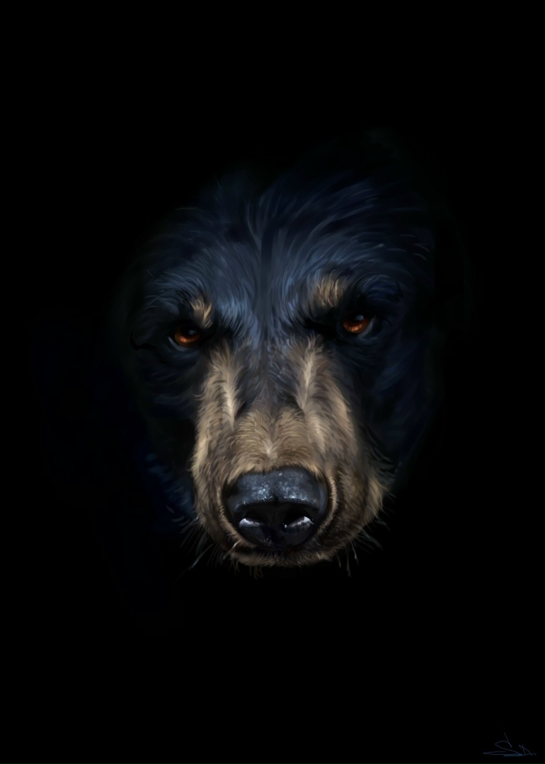 Сергей Дедов Dedoff | Санкт-Петербург