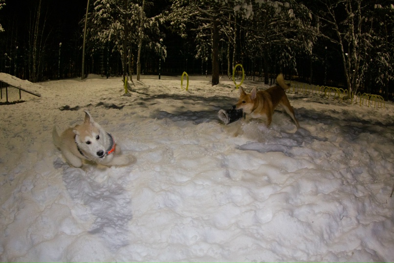 Роман Кутузов | Ноябрьск