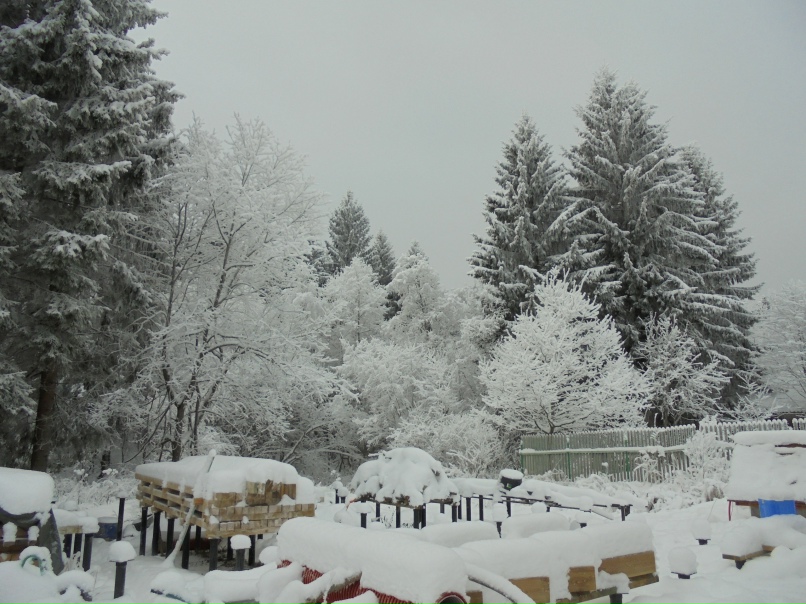 Евгений Богачёв | Москва