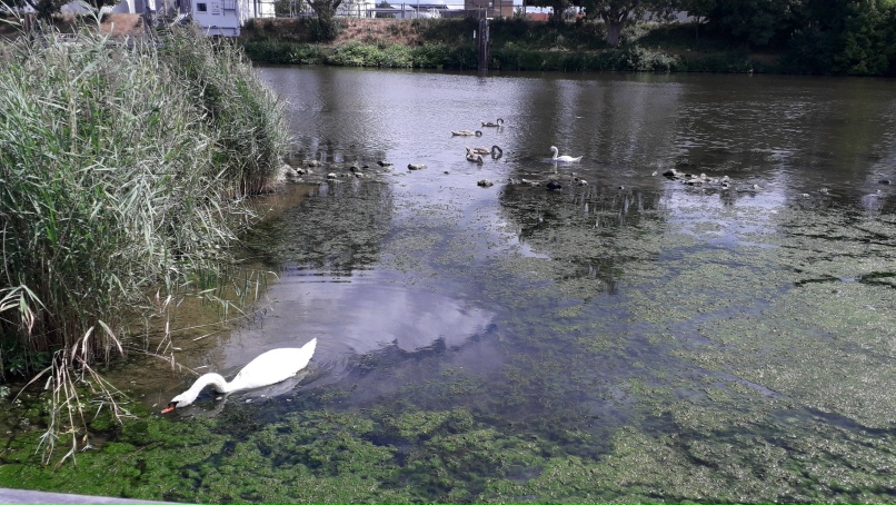 Екатерина Пархоменко | Stuttgart