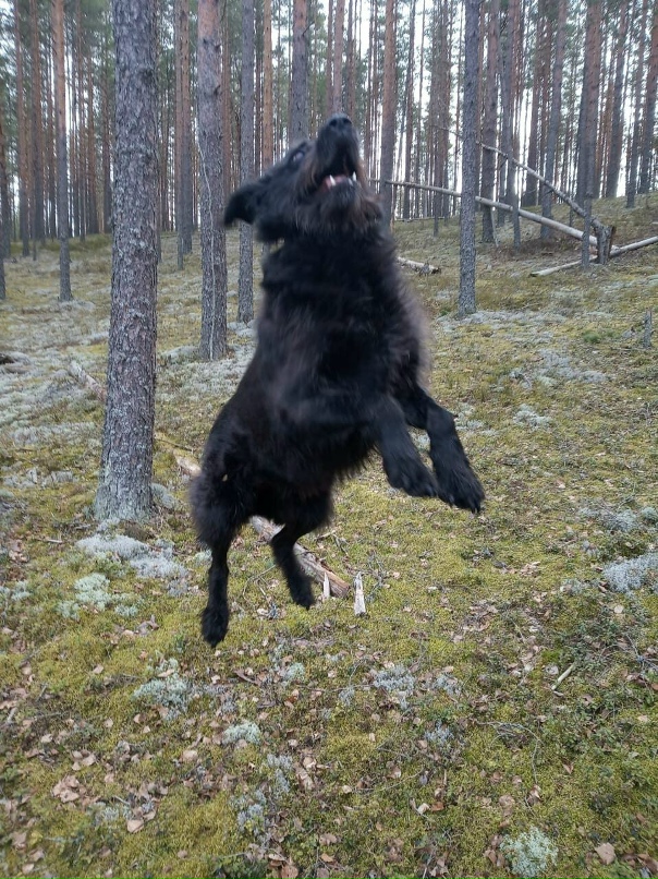 Сергей Ананьев |