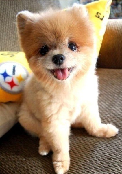 Леся Бойко | Киев