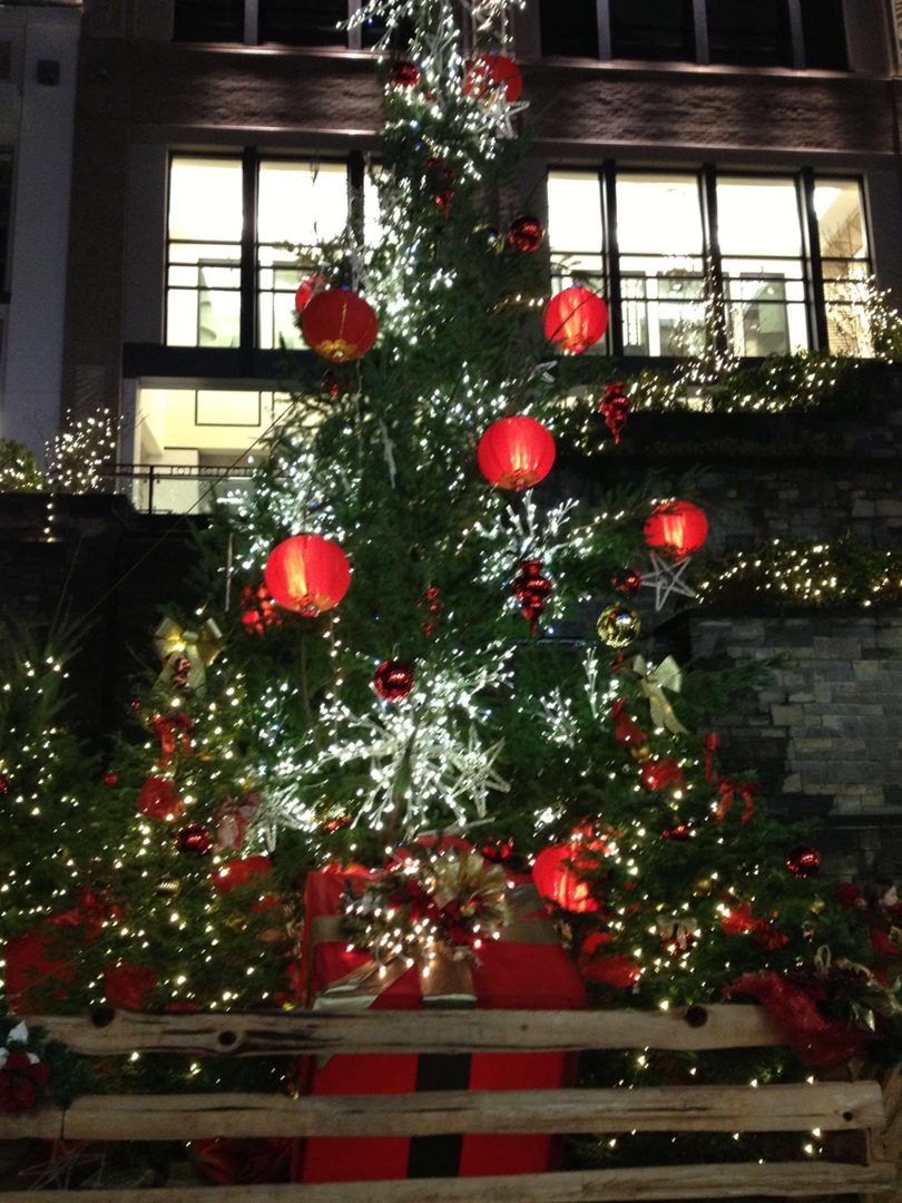 Малика Курбанова | Victoria