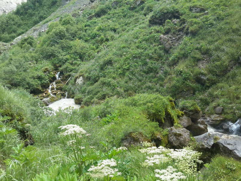 Макс Комаров | Минеральные Воды