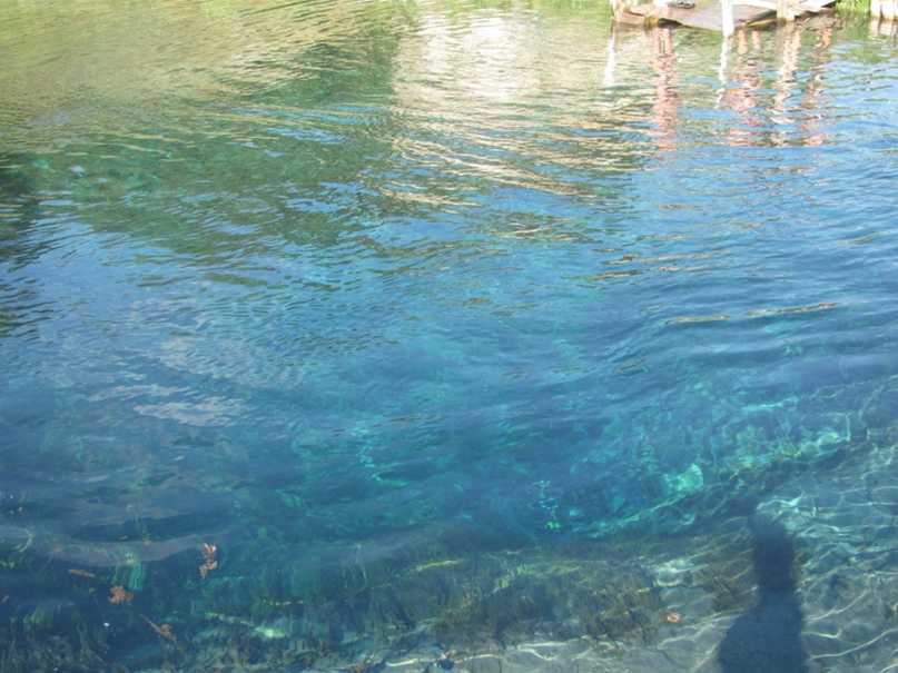 Эльвира Нигматуллина | Уфа