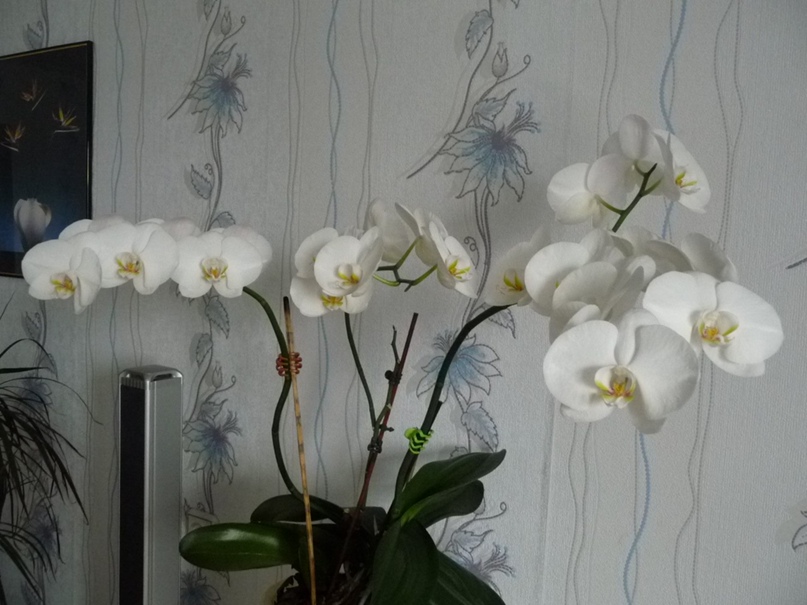 Наталья Колобова | Медвежьегорск