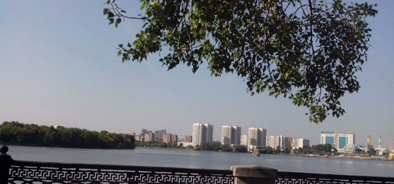 Анна Шейко InfoVamp | Москва