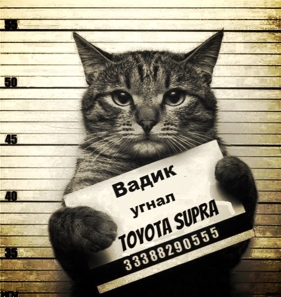 Вадим Данилюк | Николаев