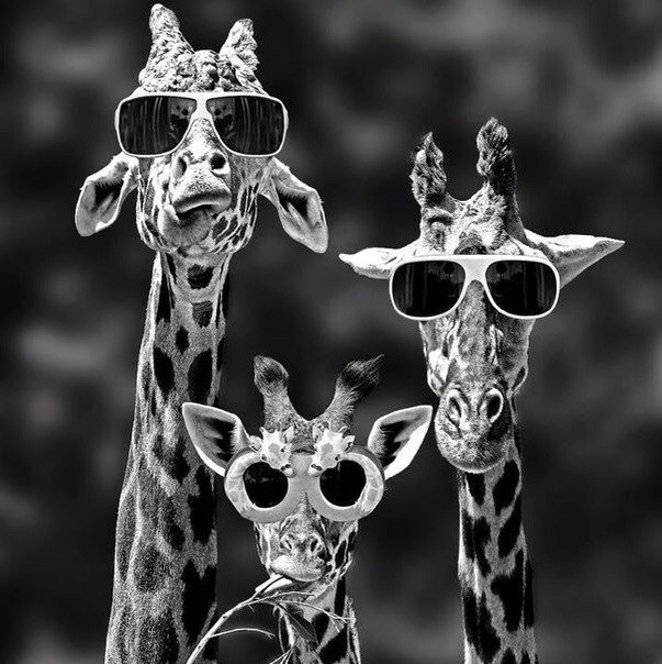 Мария Позднякова | Красноярск