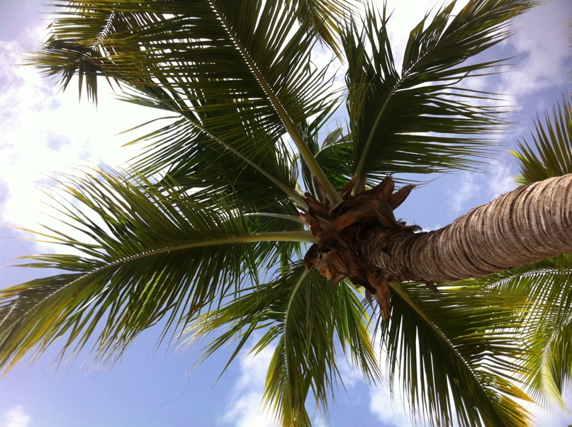 Галина Гавриленко | Сыктывкар