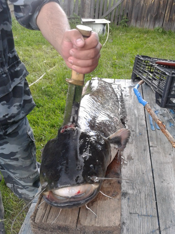 Алексей Козырёв | Нижний Новгород