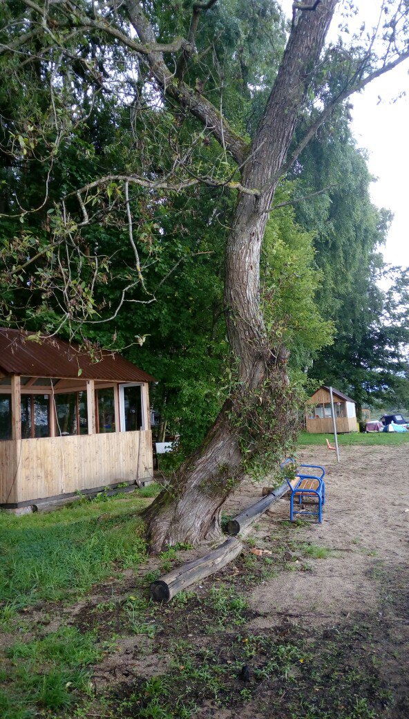 Татьяна Шефф | Зеленоград