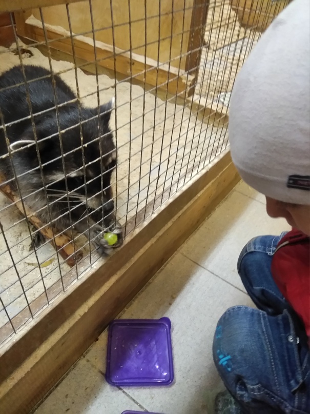 Николай Зубов | Ярославль