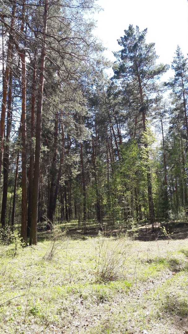 Владимир Барков | Оренбург