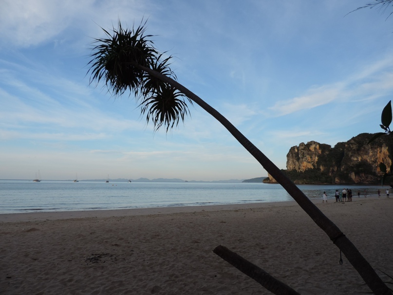 Александр Нарышкин | Москва