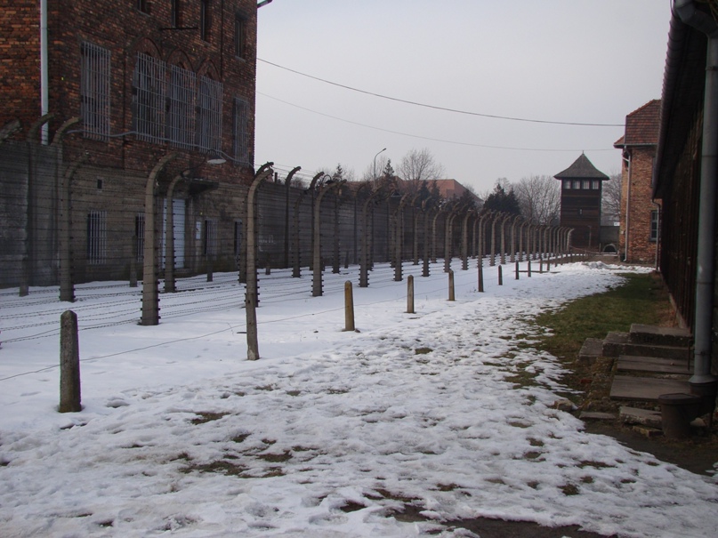 Алексей Родионов сергеевич | Санкт-Петербург