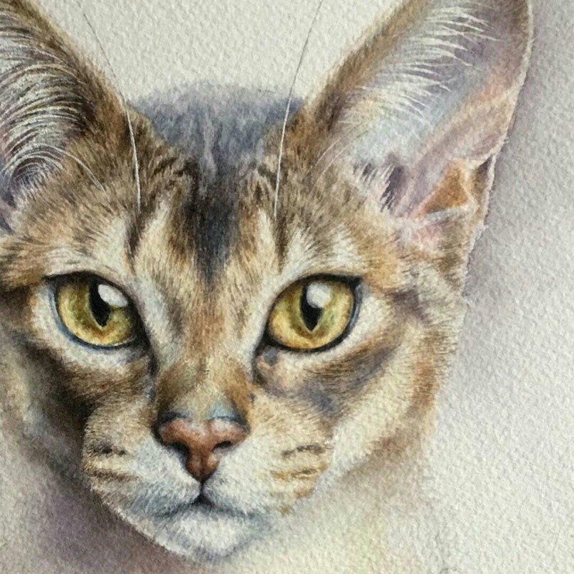 Наталья Черкесова | Калининград