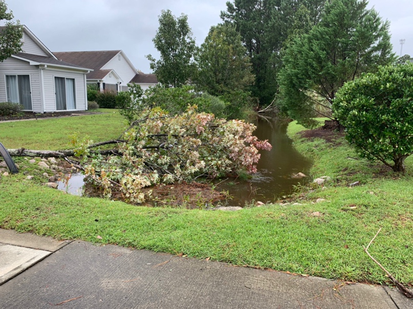 Сергей Максимов | Самара (село)