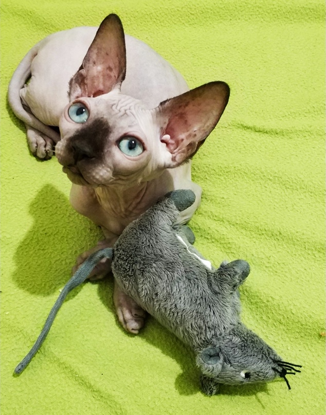 Екатерина Журавлева | Москва