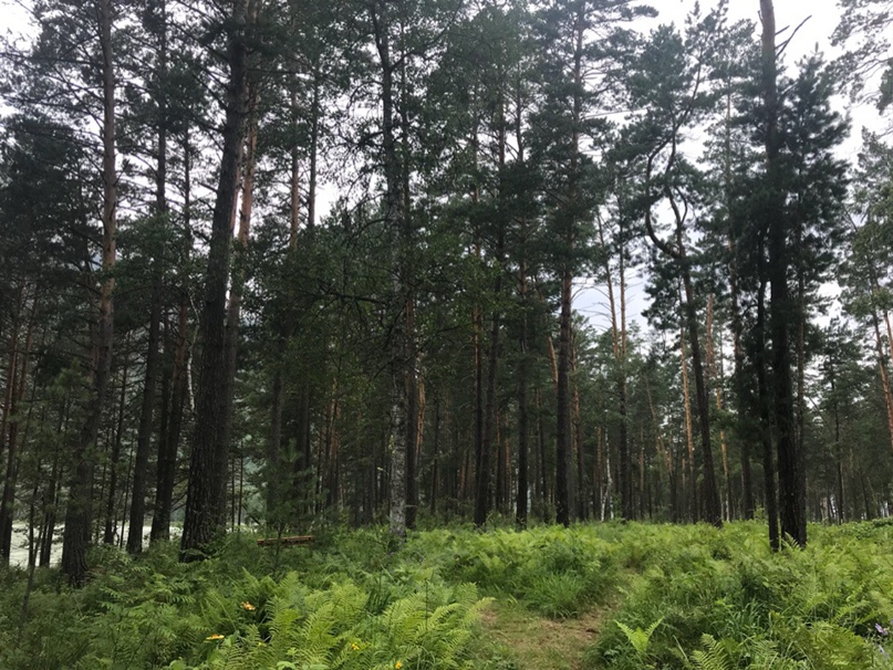 Анастасия Игнатьева | Antibes