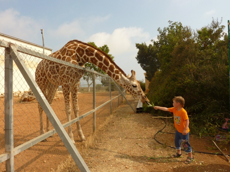 Юлия Горелова | Москва