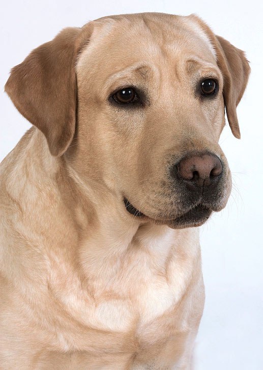 Роман Гурьянов | Казань