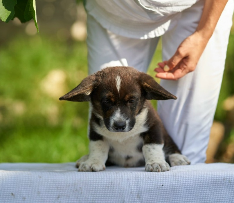 Алевтина Кузнецова | Москва