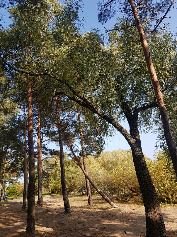 Юлия Пирогова | Москва