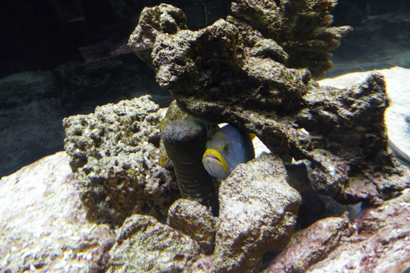 Надежда Сальникова | Волгоград