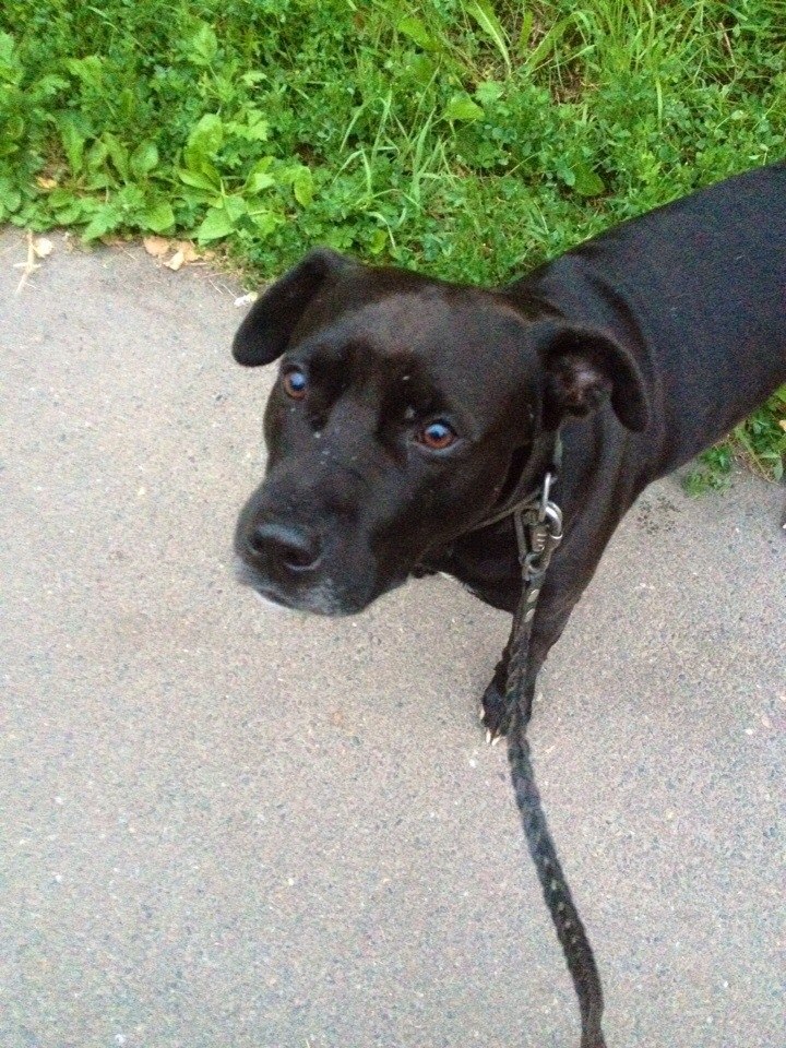 Ольга Русак | Дивногорск