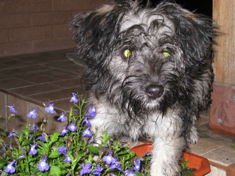 Татьяна Мокрушина | Мытищи