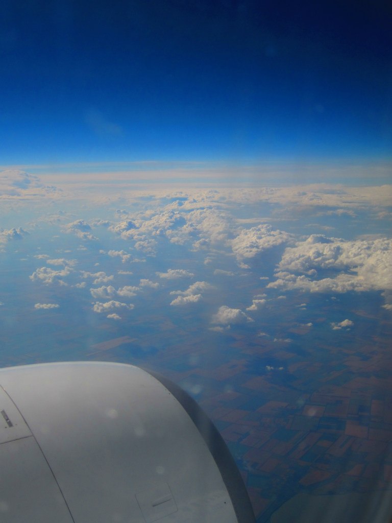 Александра Прохорова | Киев