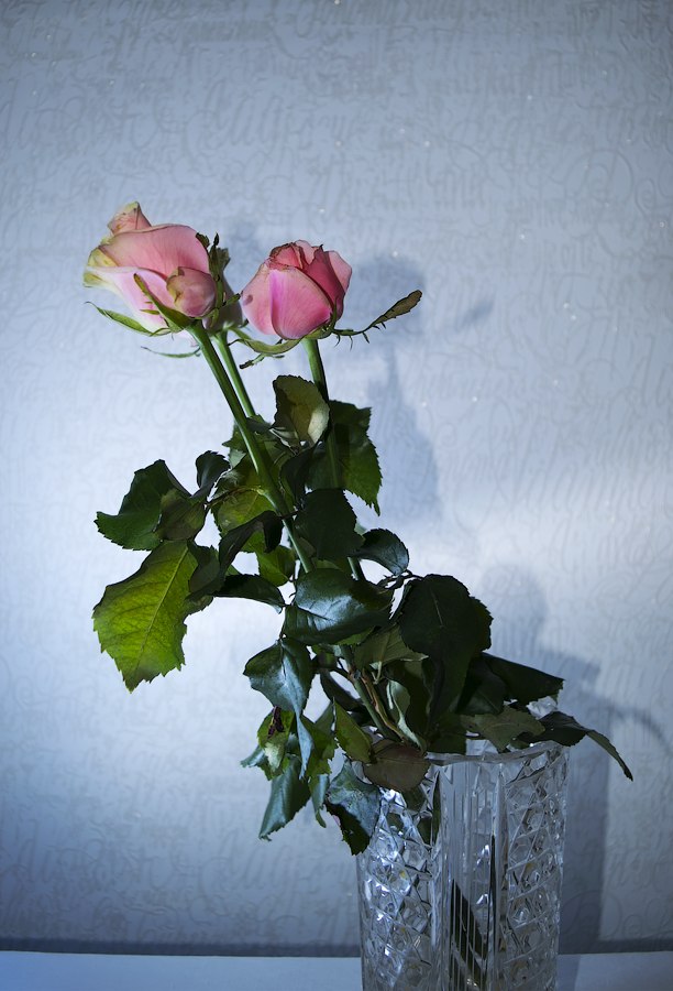 Алексей Чуйков .ιllιОfflex.ιl | Минск