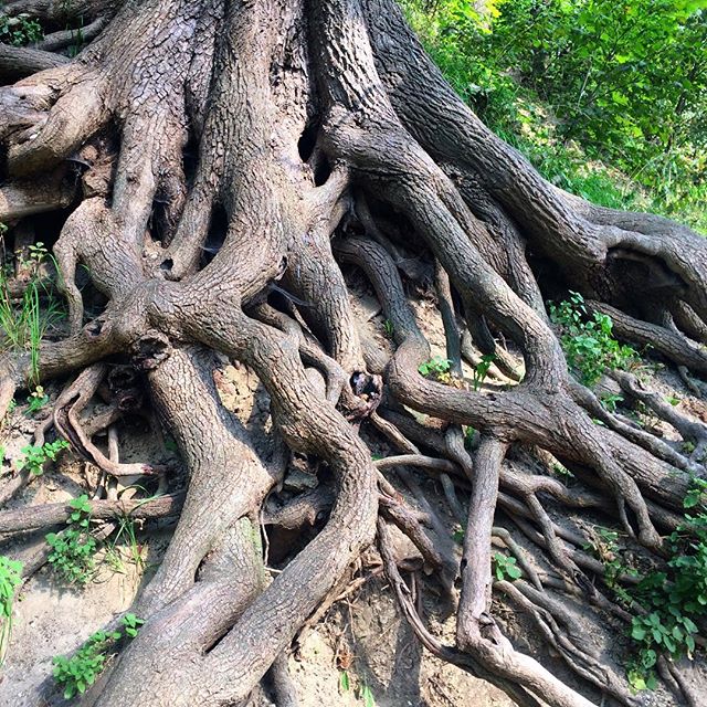 Андрей Савицкий | Минск