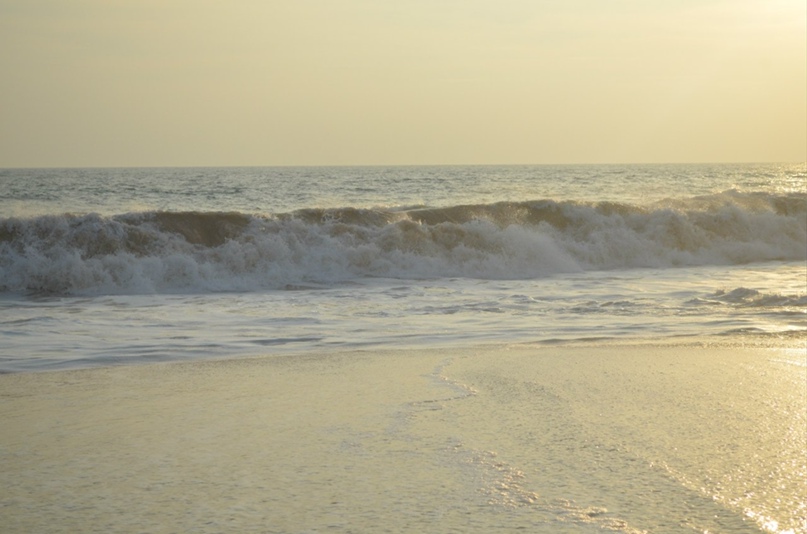 Алексей Антипенко | Киев