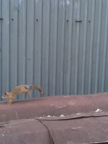 Николай Александрович | Челябинск