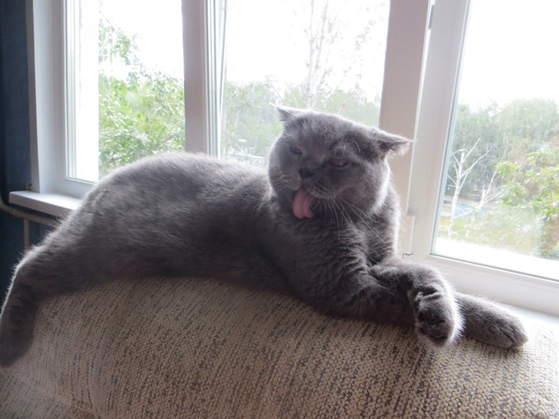 Александр Ермолаев | Пенза