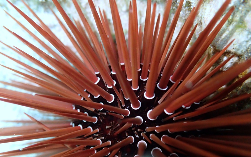 Андрей Савин | Москва