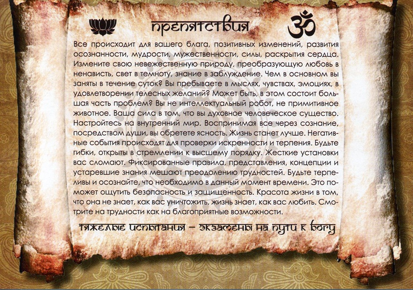 Андрей Стародубцев | Санкт-Петербург