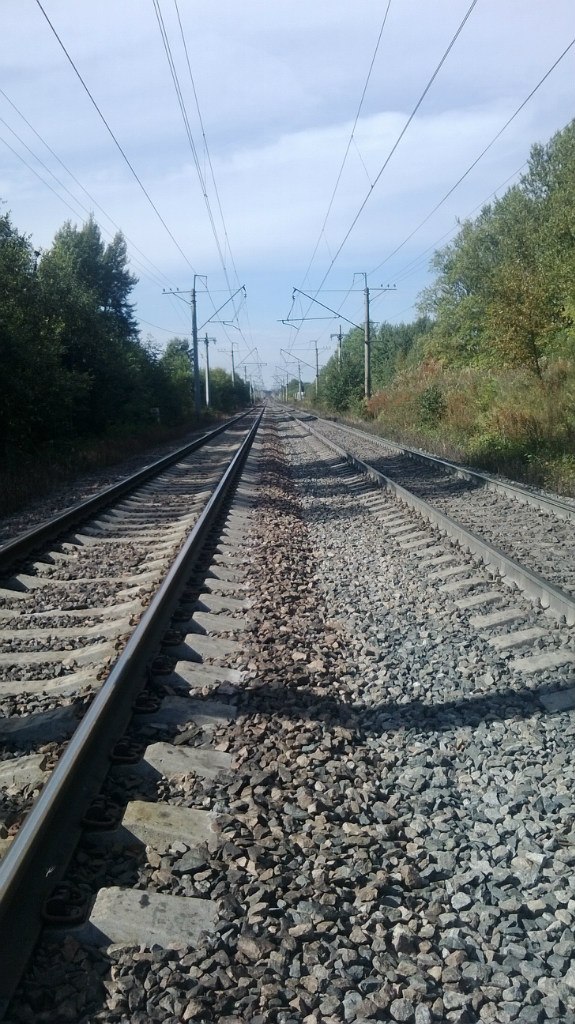 Роман Садыков | Санкт-Петербург